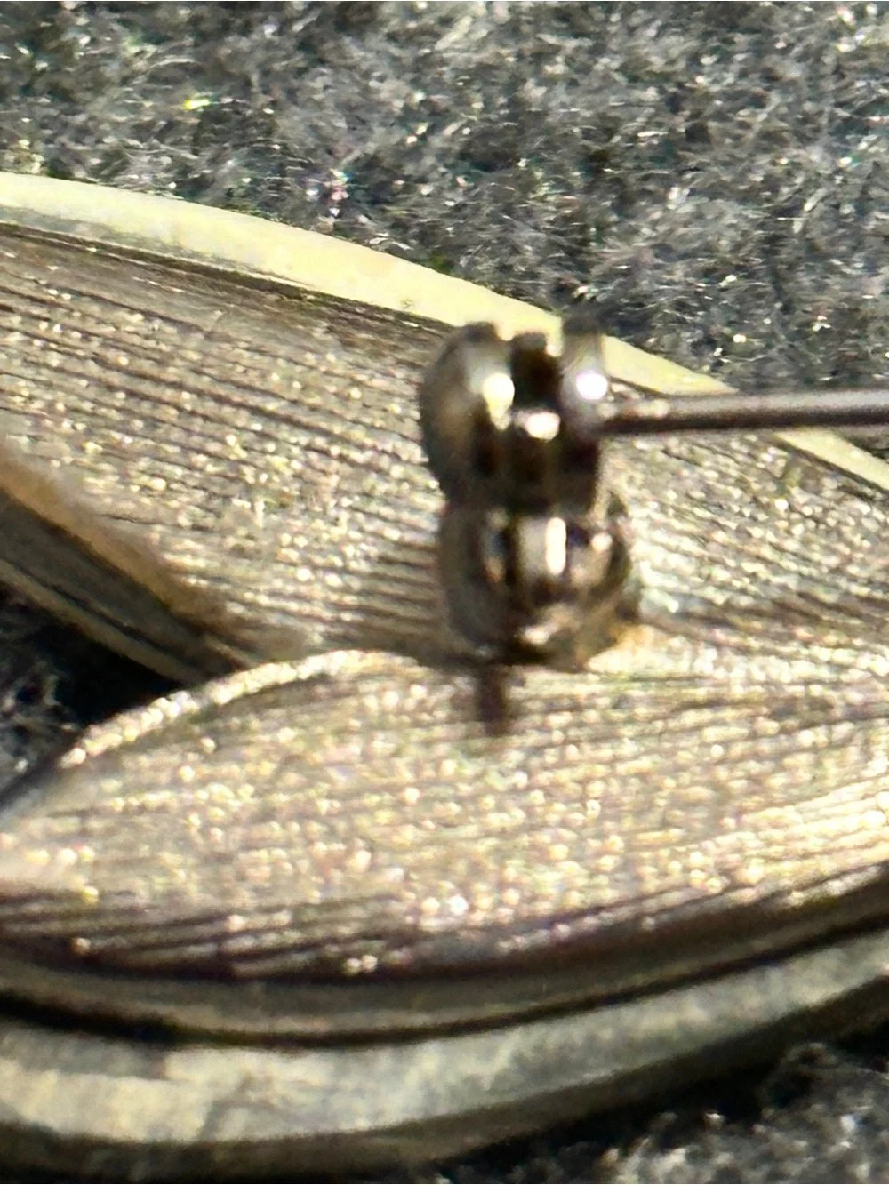 N/A silver metal by